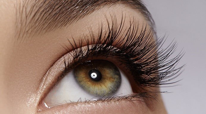 Up-close photo of a beautiful eye with long, full, voluminous lashes – MD Lash Factor lash growth serum results for fuller, healthier lashes by MD Lash